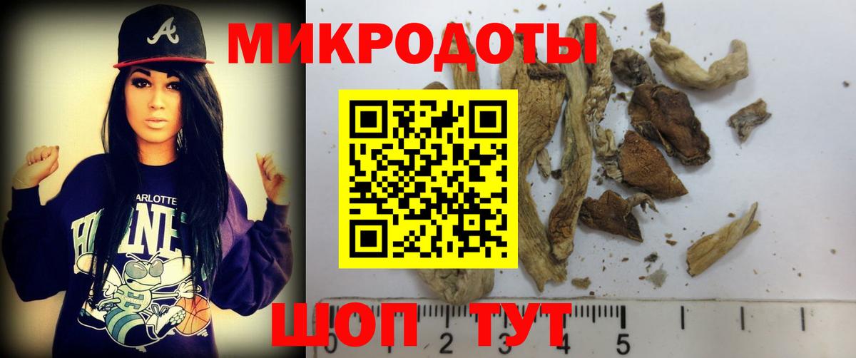 Жуковский  Галлюциногенные грибы GOLDEN TEACHER  Вход с VPN  Псилоцибиновые грибы Psilocybe 